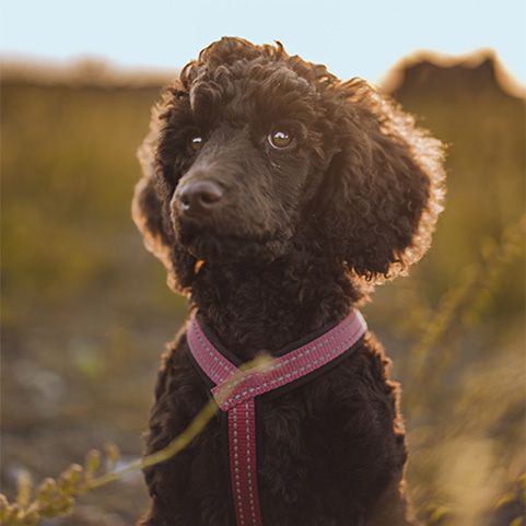 Marcus profile picture